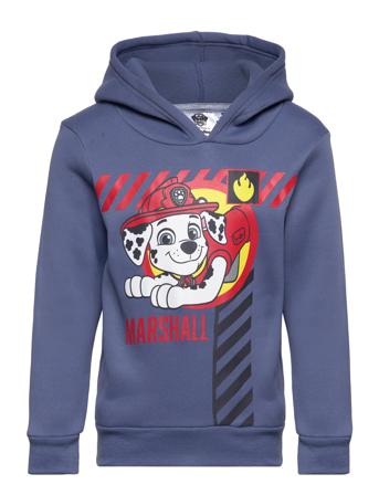 Hoodie Hettegenser Genser Blå Paw Patrol*Betinget Tilbud