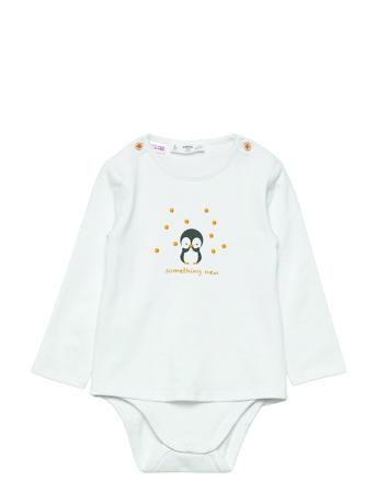 Pingu Blue Mango