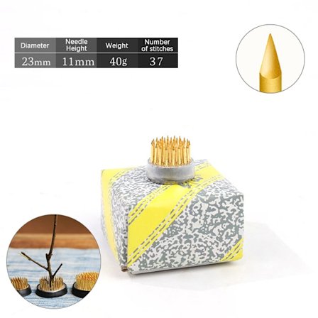 Rund Blomgrodhållare Fast Basverktyg Praktisk Enkel Flo