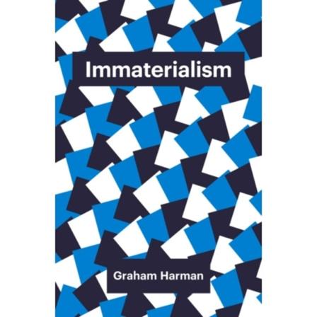Immaterialism (häftad, eng)