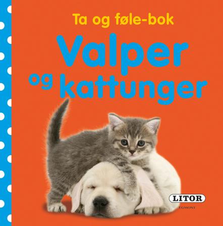 Valper og kattunger - Bok av Dawn Sirett - Board book