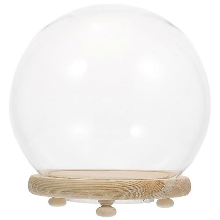 Mikromaisema Kirkas Lasikupu Valoisa Kukka Vitriini Pöytäkoriste