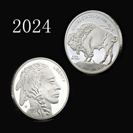 1:1 Minnesmynt 2024 Bison