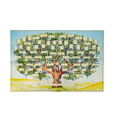 Stamtræ Chart til Udfyldning - 15.75x23.62inch 6 Generationer Slægtsforskning Poster Tom Udfyldbar Stamtræ Chart, Stor Skrift