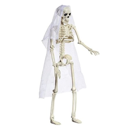Halloween Skeleton Ihmisen luuranko BRIDE BRIDE