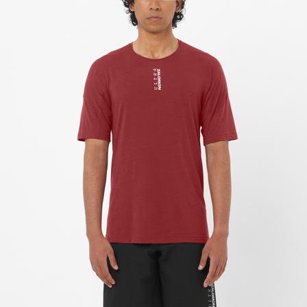Salomon - T-shirts Vêtements Ultra Ss Tee M