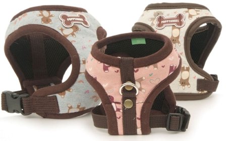 Puppy Angel - Sweet Bear - Hundsele och Koppel XL