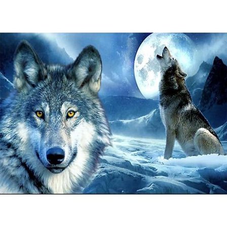 30 x 40 cm, susi kuunvalossa Timanttimaalaus Kirjonta D