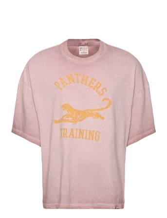 Champion | Ss Tee | S