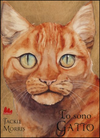 Io sono gatto. Ediz. illustrata Jackie Morris
