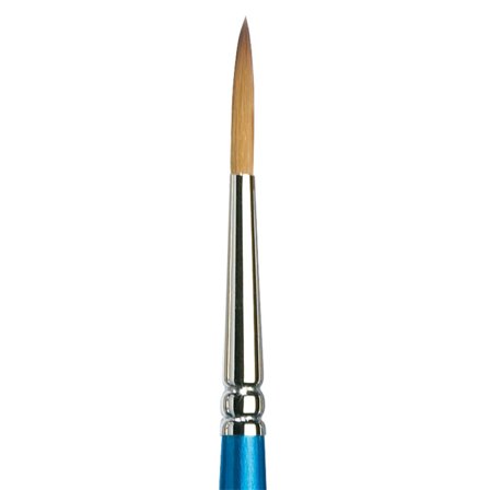 Cotman Brush - Series 222 Round 5