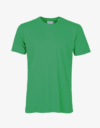 Classic Organic Tee - Kelly Green - S