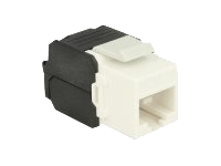 Delock Keystone module - modulinnlegg