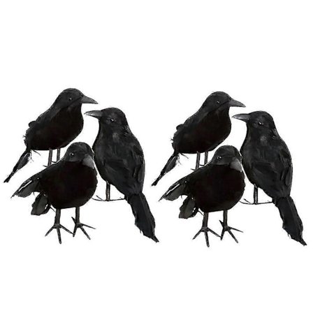 6 X Halloween Dekoration Krage Kunstig Ravn Krage Med Fjer—max