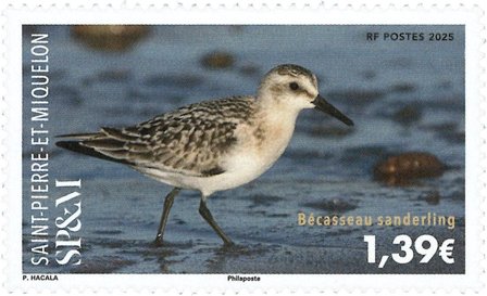 St. Pierre & Miquelon - Bæltet Sanderling - Postfrisk frimærke
