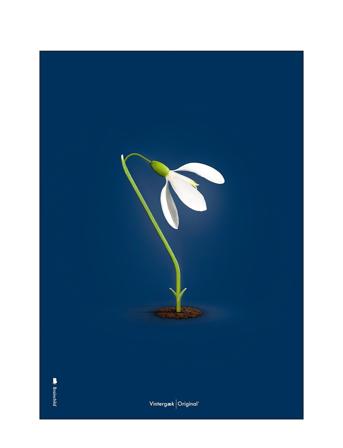 Vintergaek-Morkebla Home Decoration Posters & Frames Posters Botanical Multi/patterned Brainchild
