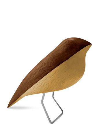 Nattergalen Brown Aviendo