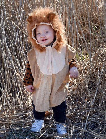 Den goda fen Mini Cape Lion - Brown - 86-110
