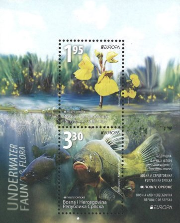 Serbisk Rep - EUROPA 2024 Undervandsfauna og -flora - Postfrisk miniark