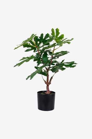 House Nordic - Viikunapuu - Vihreä - Tekokasvit - - Homeroom