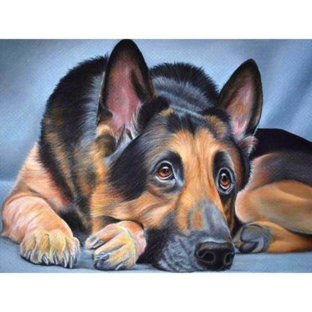 30 x 40 cm, Tysk Shepherd Diamond Painting Broderi Diamant P