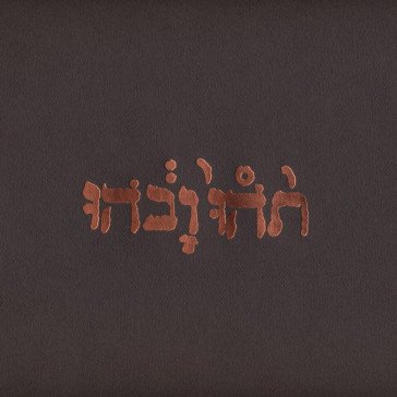 Slow riot... Godspeed You Black Emperor!