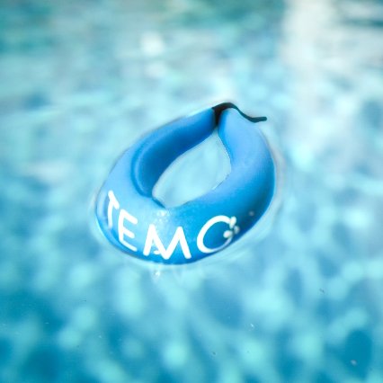 Interruptor de hombre muerto para motor eléctrico Temo Magnetic Safety Key with Hand Strap, para Temo 1000