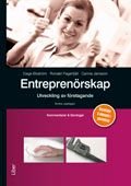 Entreprenörskap, utveckling av företagande, Kommentarer och lösningar