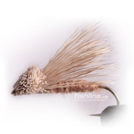 Streaking Caddis size 6