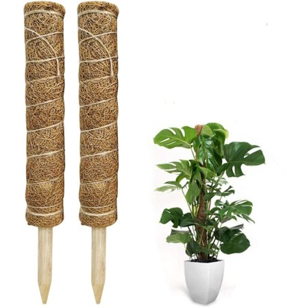 Sammalpylväs, 2 kpl 40 cm Monstera kiipeilytuki