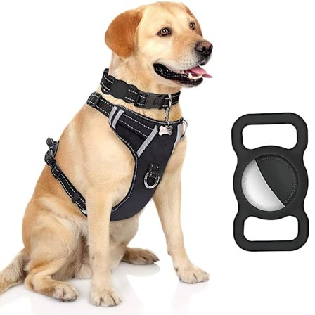 AirTag Fodral till hundhalsband ryggsäck lyser i mörkret katt