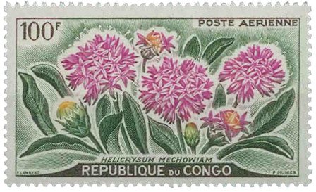 Congo - YT PA 2 - Postfrisk