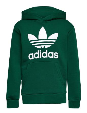 Trefoil Hoodie Sweatshirt Trøje Grøn Adidas Originals
