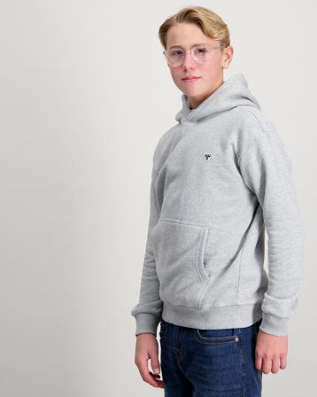 Hummel hmlJR LOOSE HOODIE BEE Grijs Hoodies Jongens - Kids Brand Store