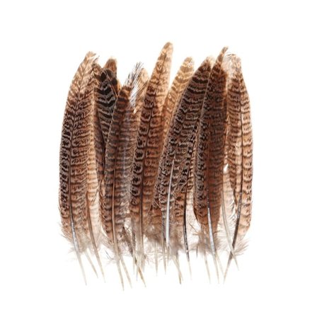 Fasanfjer 15-20CM - Spot salg