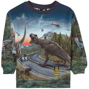 Molo Co-Exist Miksi GOTS Graphic Sweatshirt 104 cm - Jumpers and knitwear - 104 CM - Navy - Junge