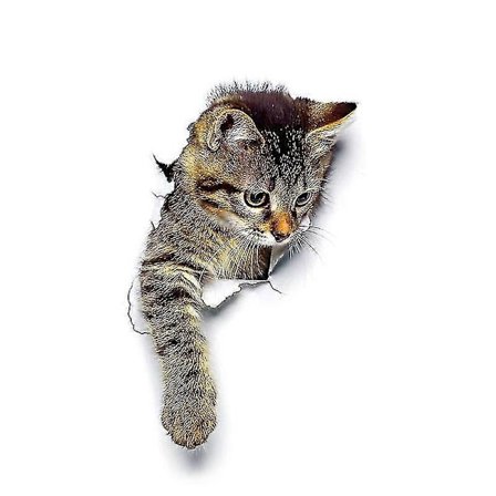 Söpöt 3D Kissa Tarrat Kylpyhuone WC Koti R Tarra Taustakuva Tarrat (3kpl)_qcx