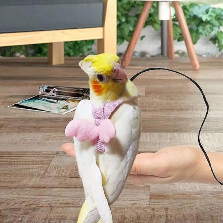 Justerbar fågelsele med 80 tums koppel, träningsrep för utomhusflygkit för fåglar Papegojor Cockatiel Pink S