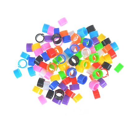 100X Kana Kana Kyyhkysenjalka Siipikarja Lintu Kyyhkynen poikaset Duck Parro