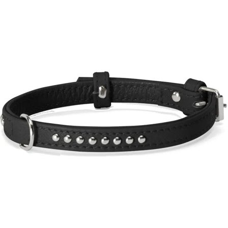 Camon Collare Con Borchiette Per Cani Colore Nero 35x650mm