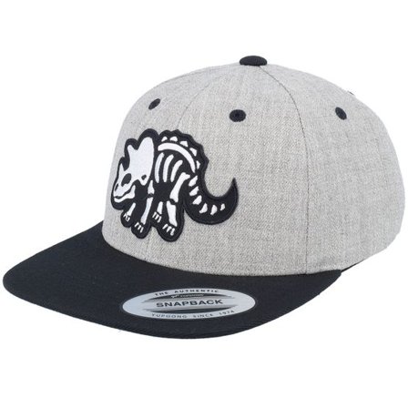 Kiddo Cap - Grå snapback Keps - Kids Triceratops Skeleton Heather Grey/Black Snapback @ Hatstore