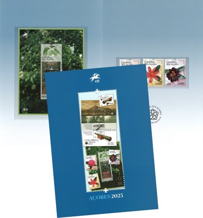 Azorerne - Årsmappe 2025
