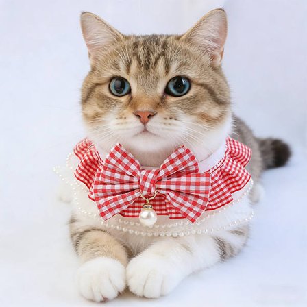 Amazon kattscarf, dregeltork, spetsdukdocka, husdjurshundscarf, kattdekoration, hundhaklapp