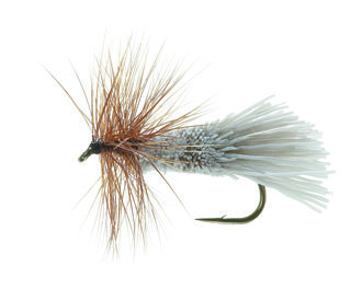 G and H Sedge Brown Daiichi 1180 #10