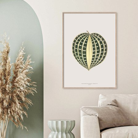 Dichorisandra Undata — Plakat med flot illustration af plante fra Nature Remixed by Gehalt