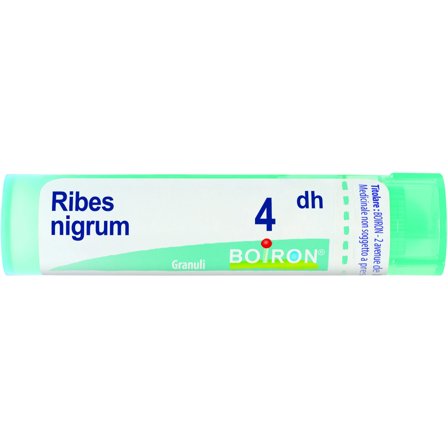 Boiron Ribes Nigrum Granuli 04Dh Tubo 4g