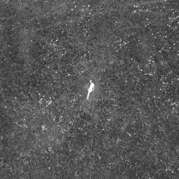 Last garden Birds Of Passage