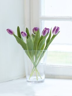 Konstväxt Tulpan 5-pack Lila - Mr Plant