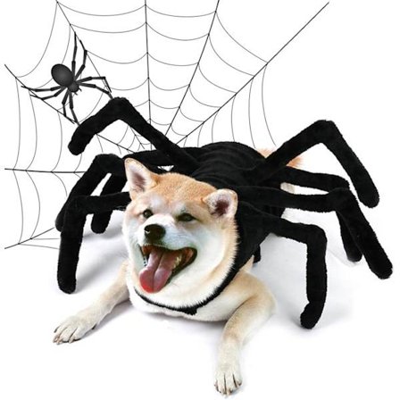 Halloween-koiranpuku, Halloween-hämähäkkipuku koirille, kissoille, Halloween-cosplay-puku, koriste-tarvikkeet