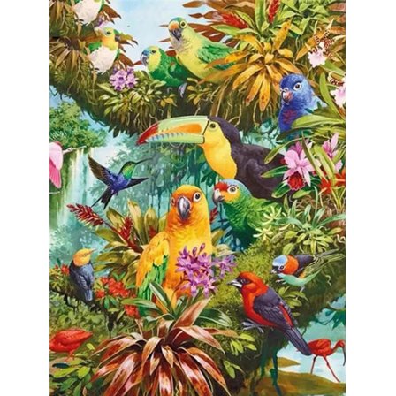 30 x 40 cm, Papukaijaperheen Timanttimaalaus Broderie Dia